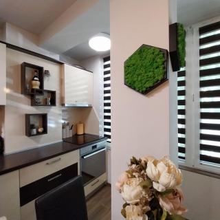 Ika studio - Burgas - 7