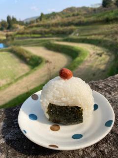 体験型農家民泊「お陽さまと風」 - 4