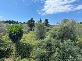 FULL HOUSE KAVOS - 2