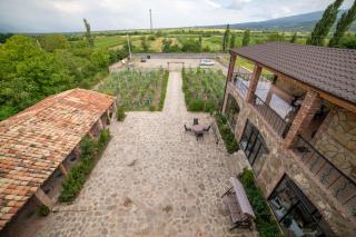 Bekas wine cellar - Akhmeta - 9