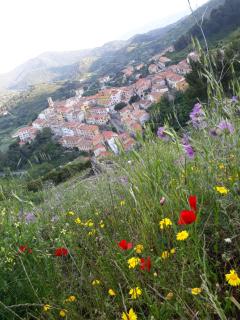 Il Sole dell'Elba - 4