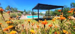 Agriturismo I Ceppi - San Casciano in Val di Pesa - 5