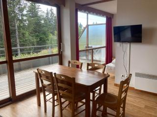 Appartement pied des pistes, terrasse wifi et parking - Chamrousse - 0