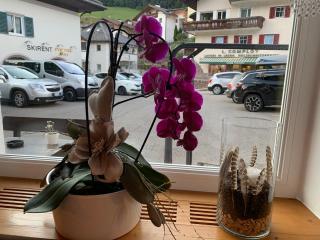 B&B MARINA contacless check in - Santa Cristina Gherdëina - 4