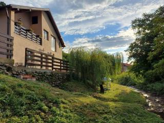 Casa Radu - Novaci-Străini - 8