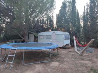 Yourte 20 M2 dans ecolieux en cours - Ponteilla - 5