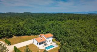 Vila Prisunca jacuzzi & swimming pool - Pazin - 7