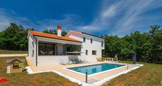 Vila Prisunca jacuzzi & swimming pool - 4