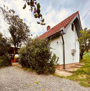 Tenkeshegyi Házikó - 9