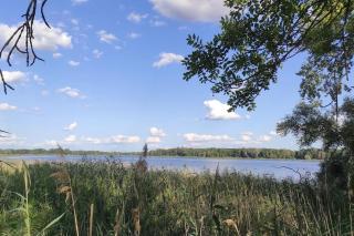 Storchennest - Ferienwohnung am Storchenradweg - 2