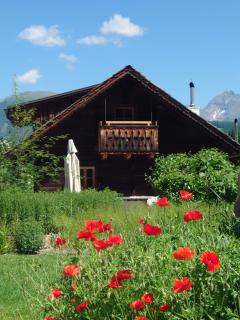 Alm Chalet Grosseck - 3