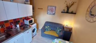 BEL APPARTEMENT CENTRE VEULES LES ROSES 1 CHAMBRE MER 300 M - Veules-les-Roses - 6