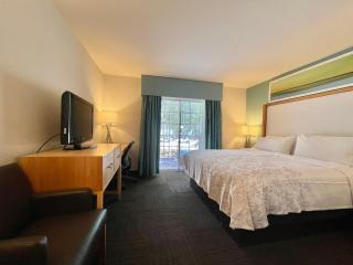 Red Roof Inn PLUS & Suites Tampa - 5