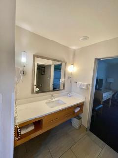 Red Roof Inn PLUS & Suites Tampa - 4