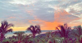 Le Val de l'Orge - 9