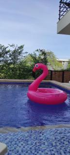Apartamento con piscina privada santa Marta - Santa Marta - 3