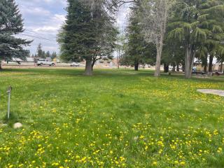 Kootenai Valley Motel - Bonners Ferry - 9