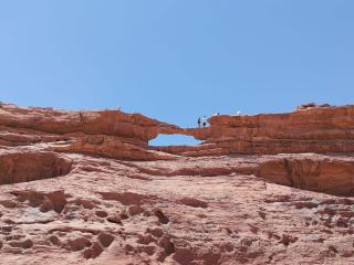 Desert Nights Camp - 1