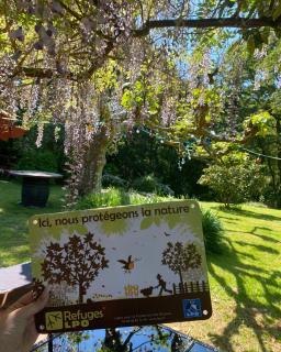 Chambres Maison Labourdasse - Saint-Martin-de-Hinx - 1