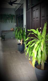 Family Holiday House @Civic Centre Dewan Suarah - Sibu - 5