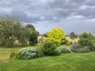 Meander Retreat - King Suite with rural views - Springton - 4
