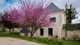 Gîte Saumur Le Pigeonnier, Calme et Cosy - Épieds - 9