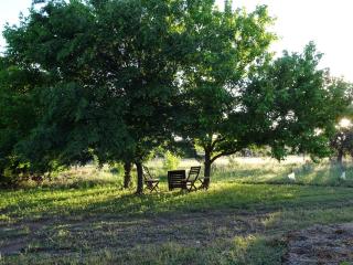 Meander Retreat - King Suite with rural views - Springton - 1