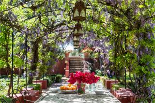 Hacienda el Burgo - 1