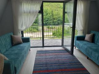 uzungöl Çaykara pansiyon bungalov - Trebizonda - 1