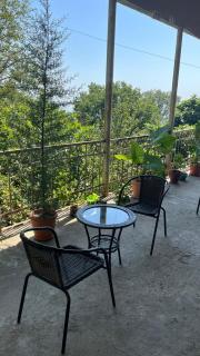 House In The Forest - Sighnaghi - 3