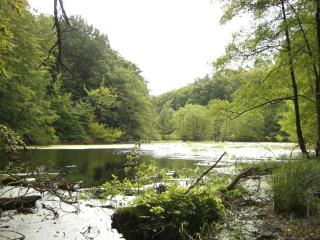 Appartementhaus Sonnenbad App 04 - Sassnitz - 9