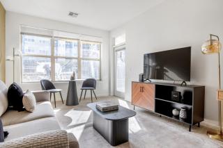 Somerville 1br w wd gym roof nr Assembly T BOS-840 - 9