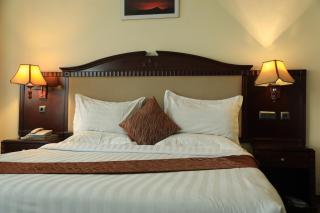 Debredamo Hotel - Addis Abeba - 8