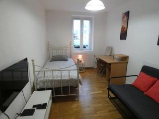 Beau studio proche tous commerces - Nancy - 0