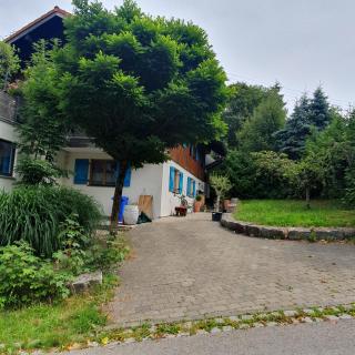 Traum Blick am Rottachsee - Oy-Mittelberg - 7