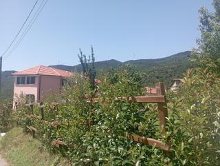 LA TANA DELLA VOLPETTA - Bed & Breakfast - 6