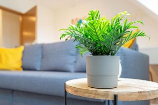 Helles modernes zentrales Studio, nahe BTU, vollausgestattet&Parkplatz auf Anfrage - 3