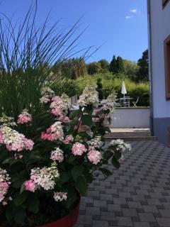 Les magnolias en Alsace - meublé de tourisme 3 étoiles - 3