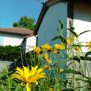 Chambres d'hôtes Villa Lortin - Pouillon - 2