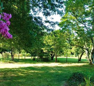 Chambres d'hôtes Villa Lortin - 3