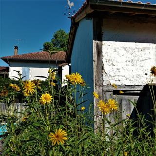 Chambres d'hôtes Villa Lortin - Pouillon - 5