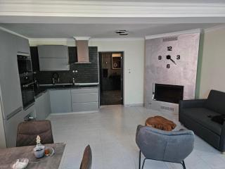 Andronike's Villa - Sami - 0