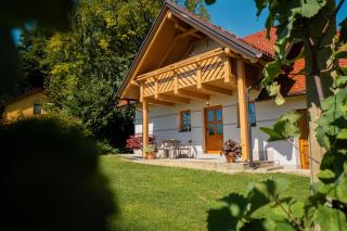 Villa VINEYARD - Velika Nedelja - 8