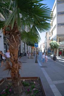Matis Suite San Torcuato 4 - Zamora - 7