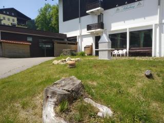 Mezonet Almberg Apartmany JaJ - Mitterfirmiansreut - 1
