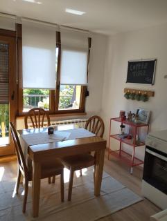 Apartmani Gruzdovo - Delnice - 2