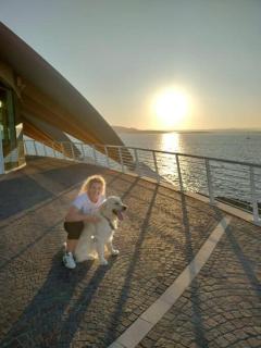 Stanza a Saint Paul Bay - 3