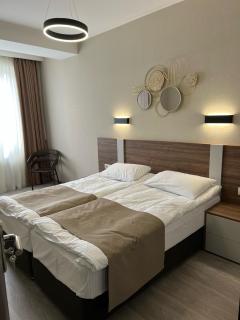 Cristal Woods - Apartment 205 - Bakuriani - 6