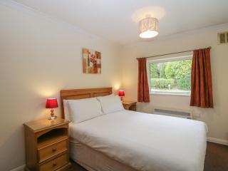 Dogwood Timber Lodge - Keswick - 1