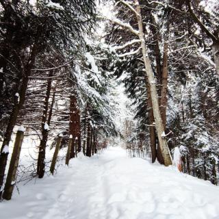 Cozy Attic Azuga - 3